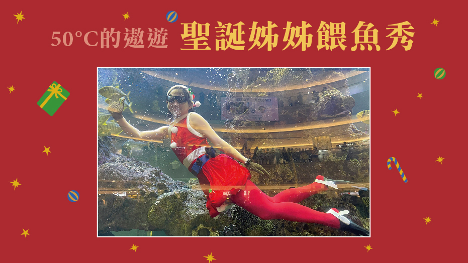 50°C的遨遊-聖誕姊姊餵魚秀